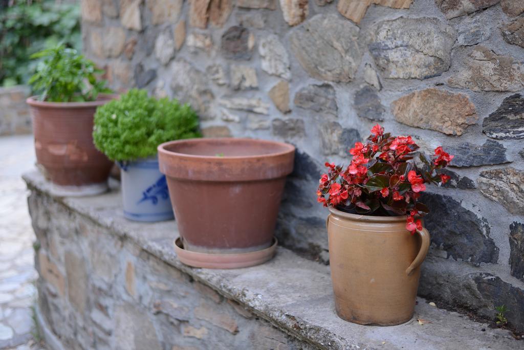 Guesthouse Parthenón Екстериор снимка